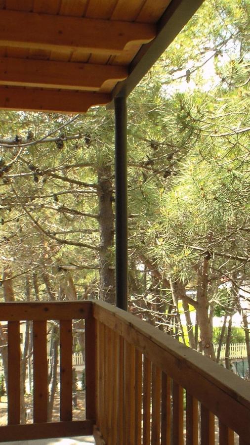 Hotel Temali 2 Velipojë المظهر الخارجي الصورة